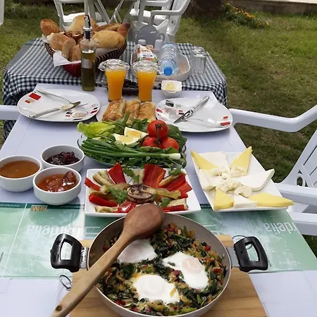 Erasmus داليان