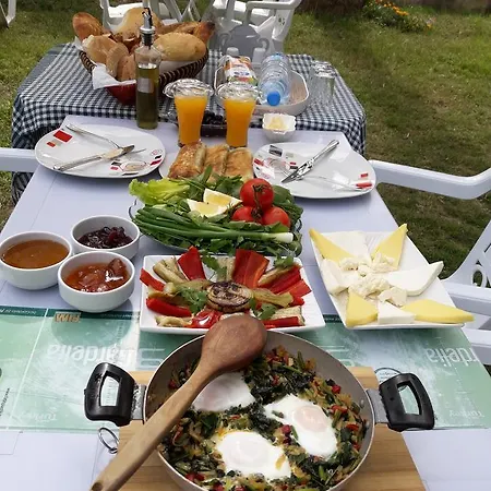 Erasmus Hotel apartamentowy Dalyan