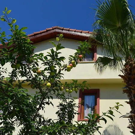 Erasmus Aparthotel *
